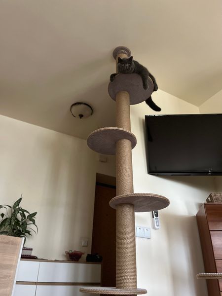Котодерево до стелі, 265 см, джут, відтінок тканини №28 845 фото