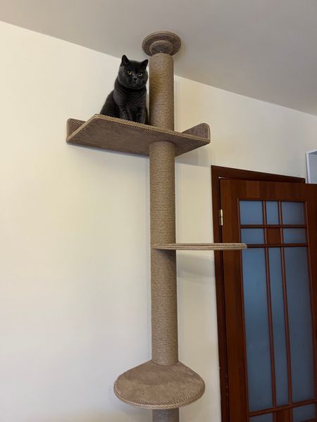 Котодерево до стіни, 253 см, джут, відтінок тканини №28 653 фото
