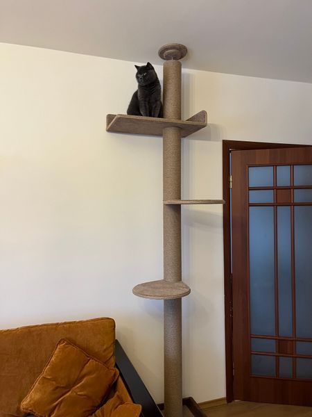 Котодерево до стіни, 253 см, джут, відтінок тканини №28 653 фото